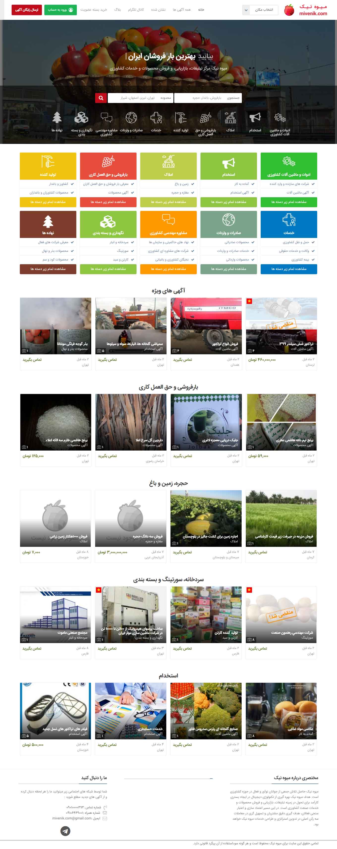 میوه نیک-نمونه کار طراحی سایت